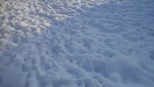 Ка Де Бо первая прогулка и первый снег Платона смотреть онлайн