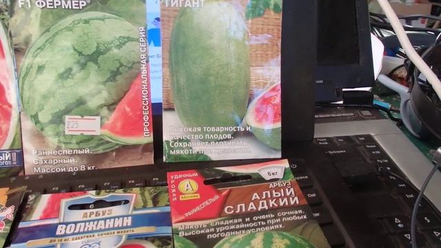 Какие сорта Арбузов будим выращивать в теплице в 2021 году