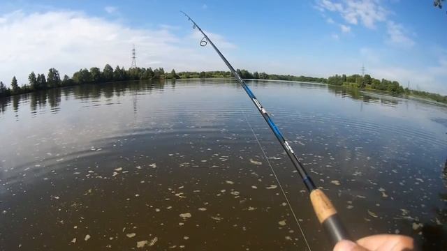 23 июня 2020 года Ловля окуня на верхней Москва реке, на отводной поводок! смотреть онлайн