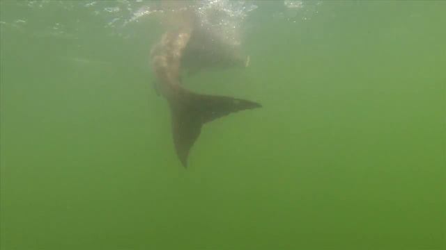 Episode 03 GULP смотреть онлайн