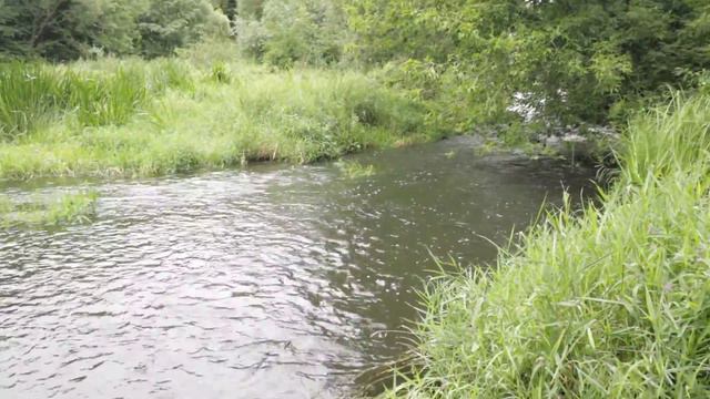 Первая часть территории смотреть онлайн