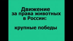 Крупные победы Движения за права животных в России