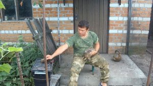 Подготовка подсадных уток к охоте