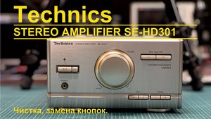 Technics SE-HD301 (Technics SC-HD301)