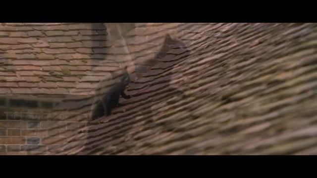 Бисеры№6: Лицом к лицу смотреть онлайн