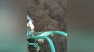 Культиватор крот снова в работе