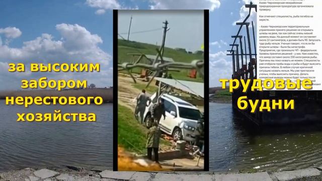 Ейск - нерест 2021. Рыбная ловля запрещена, НО НЕ ВСЕМ. Ейский лиман. смотреть онлайн