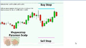 Лучшие индикаторы для скальпинга. Рекомендации профессионалов