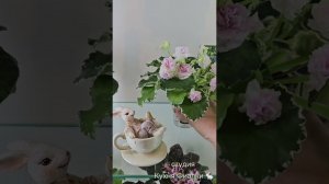 Студия "Кухня Фиалки". Конец февраля.
