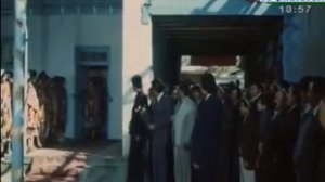 Туй дар исфара