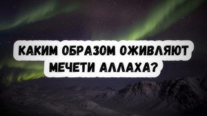 Оживление мечетей Сирадж Абу Тольха