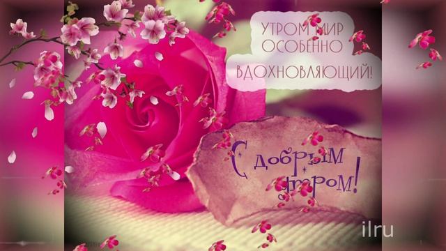 Доброе утро пятницы! Удачной пятницы и хорошего дня