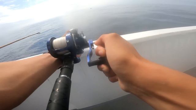 2 DAY LIMITS OF BLUEFIN TUNA ON THE PRIDE SPORTFISHING смотреть онлайн