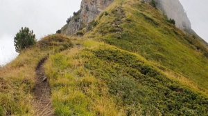 И бежать мне больше некуда, не к кому, незачем...