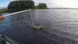 Ловим щуку на Воронежском водохранилище! Октябрь 2018