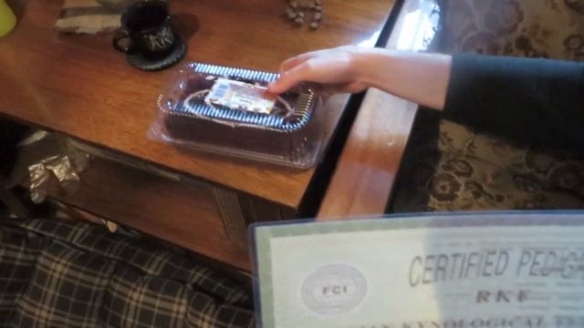 ПОЛУЧИТЬ РОДОСЛОВНУЮ.  ОТЛИЧНАЯ РОДОСЛОВНАЯ. ГЕНЕАЛОГИЧЕСКОЕ ДРЕВО. МЕЖДУНАРОДНАЯ РОДОСЛОВНАЯ.РКФ.