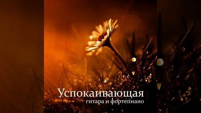 Спокойная мелодия смотреть онлайн