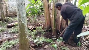 life in a village in Indonesia ? rural roads in Indonesia ?narrow roads for car and truck access #0