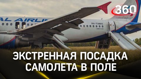 Самолет экстренно сел в поле в России: у авиалайнера могла отказать гидравлика