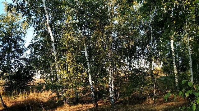 27 августа- ДЕНЬ МИХЕЯ ТИХОВЕЯ. Как не остаться без денег.Когда наступит зима.Приметы смотреть онлайн