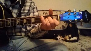 Топ 5 песен на гитаре без баррэ для начинающих. Полный разбор ( часть 1 ) Уроки на гитаре с нуля