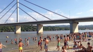 Нови сад Сербия Пляж Дунай