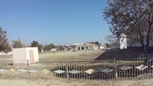 Гулистан Сырдарьинская область Узбекистан