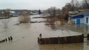 Восточно-казахстанская область город аягуз залине второй квартал