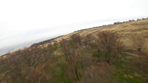 Бельджамен -«город дубов» (Водянское городище). Дубовский район. Волгоградская область