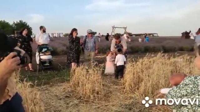 На фоне молдавской лаванды смотреть онлайн