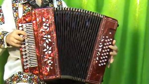 По Дону гуляет казак молодой Учимся играть на гармони 480p