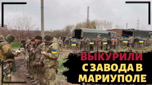Засевшие на заводе в Мариуполе нацбаты сдаются в плен вместе с иностранными наемниками