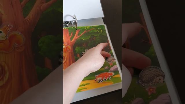 Окружающий мир 1 развивающие игры на липучках