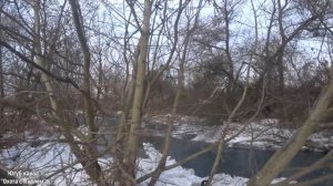 Охота на Хищника! Невероятно живучая лиса!