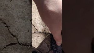 Как сделать из трещотки фривил