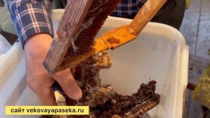 Производство ПЖВМ