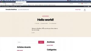 Formation WordPress : toutes les bases en 8 minutes !  (2020) Gutenberg, pages, articles de blog,..