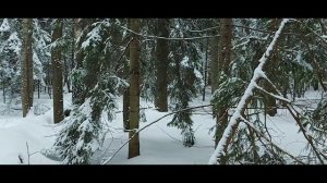 #6 Охота на Куницу 2024