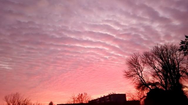 Слепой музыкант(2) смотреть онлайн