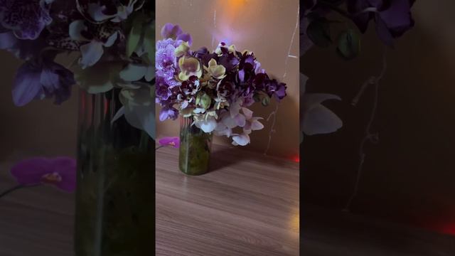 #красиво #орхидеи #орхідеї #голландскиеорхидеи #квіти #цветениеорхидеи