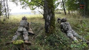 Развязанный хаос: ночные и дневные учения с боевыми стрельбами на уровне отряда в Германии