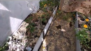 КАК #ПОДГОТОВИТЬ #ГРЯДКИ К СЛЕДУЮЩЕМУ СЕЗОНУ