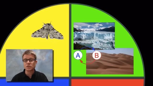 AP Biology Practice 7 - Connecting Knowledge