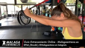 Triceps TRX (Agarre neutro) - TRX Triceps Neutral Grip