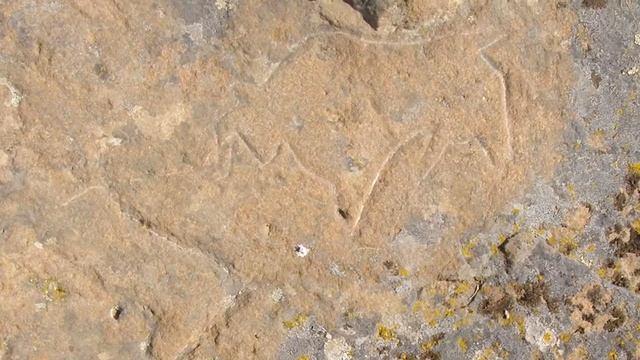 Наскальные рисунки, каменные стелы и изваяния Павлодарского Прииртышья смотреть онлайн