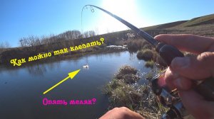 Окунь после нереста. Как поймать.