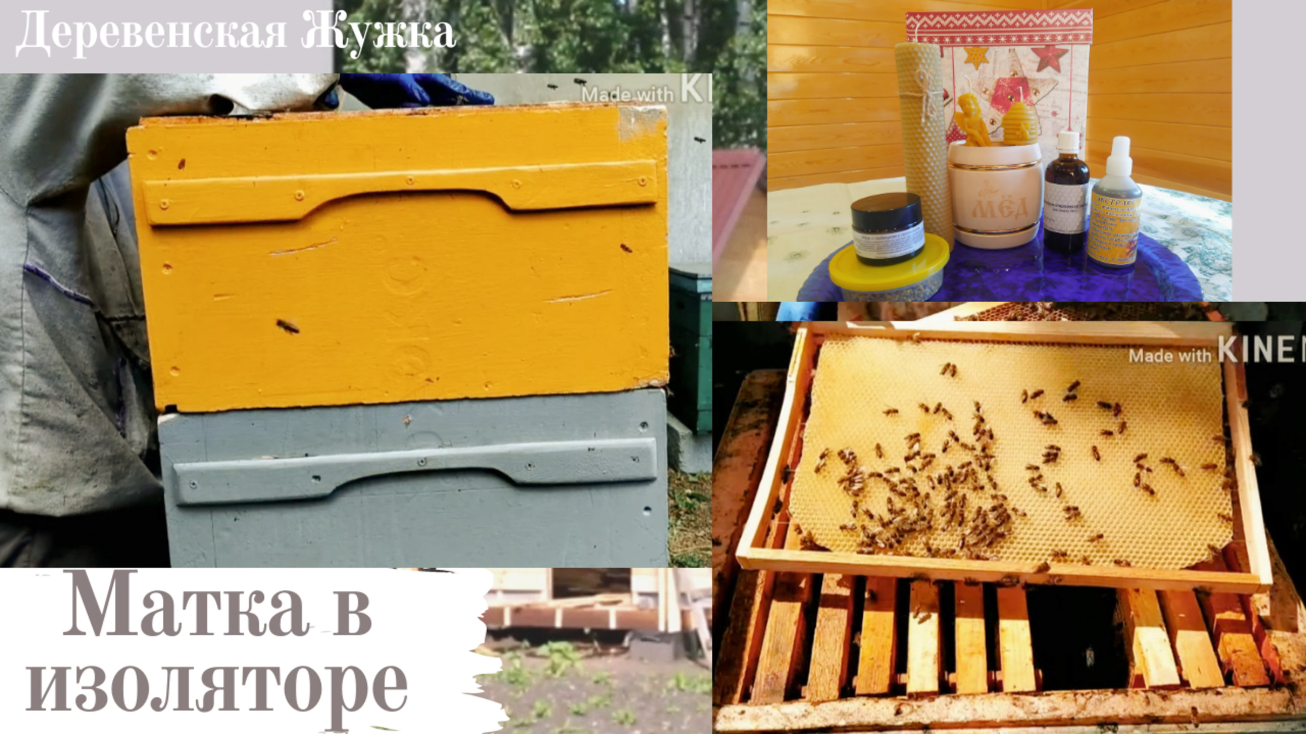 Пчелы. Семья на трех корпусах. Матка в изоляторе Часть 2 (Bee.)