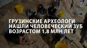 Грузинские археологи нашли зуб возрастом 1,8 млн лет