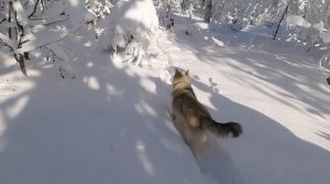 На охоте нашли Медвежью берлогу. Зимняя красота Южного Урала 2021г. Охота на Медведя.