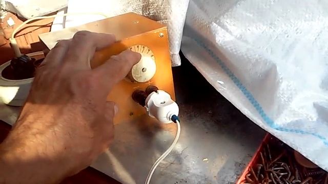 Как кролики переносят жару 30градусов ч 2 смотреть онлайн